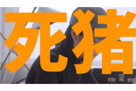 汉阳融资清欠服务